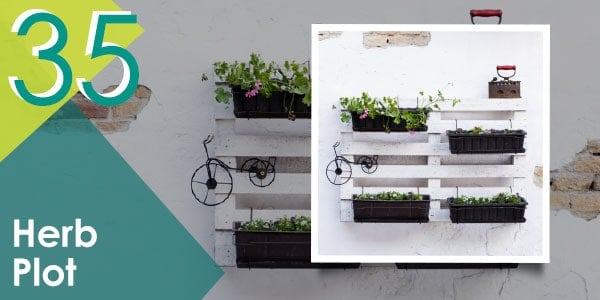 More pallet organisation ideas for your plants coming through...