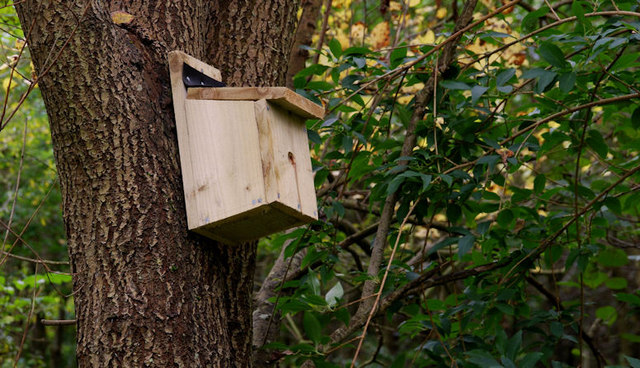 Small bird house attached on the tree