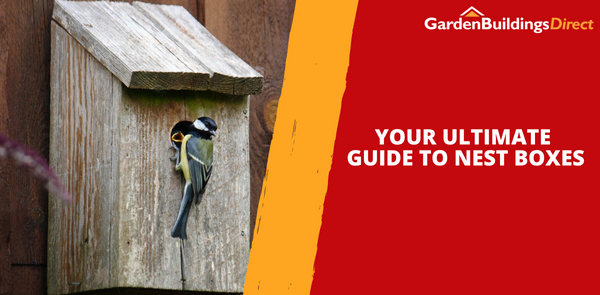 Your Ultimate Guide to Nest Boxes + DIY Tips