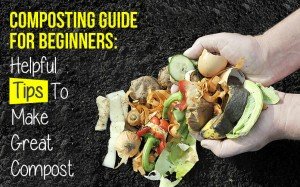 Composting Guide for Beginners