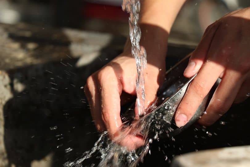 hands cleaning bowl in a vertical stream of water