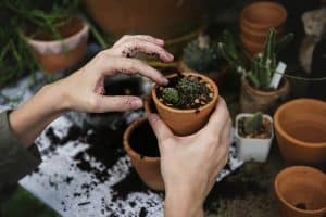 6 Top Calorie Burning Gardening Activities to Grow Your Garden