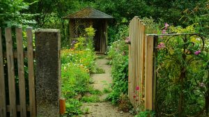 create-garden-wildlife-shed-4-build-a-fence