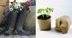 12 Clever Gardening Ideas on Low Budget