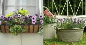 Make the Most of a Small Garden