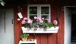 make-the-most-of-a-small-garden-1-window-boxes