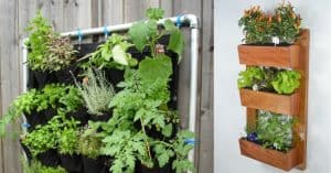 make-the-most-of-a-small-garden-3-vertical-planting