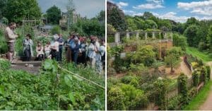 5 Open Gardens to Visit in UK on National Gardening Week 2019