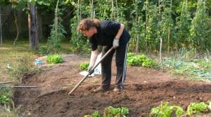 gardening-significant-health-benefits-1-gardening-keeps-you-healthy-and-fit