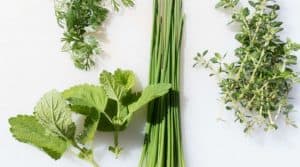 gardening-significant-health-benefits-herb-garden