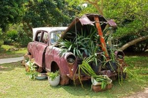 low-budget-garden-ideas-5-diy-everything-first
