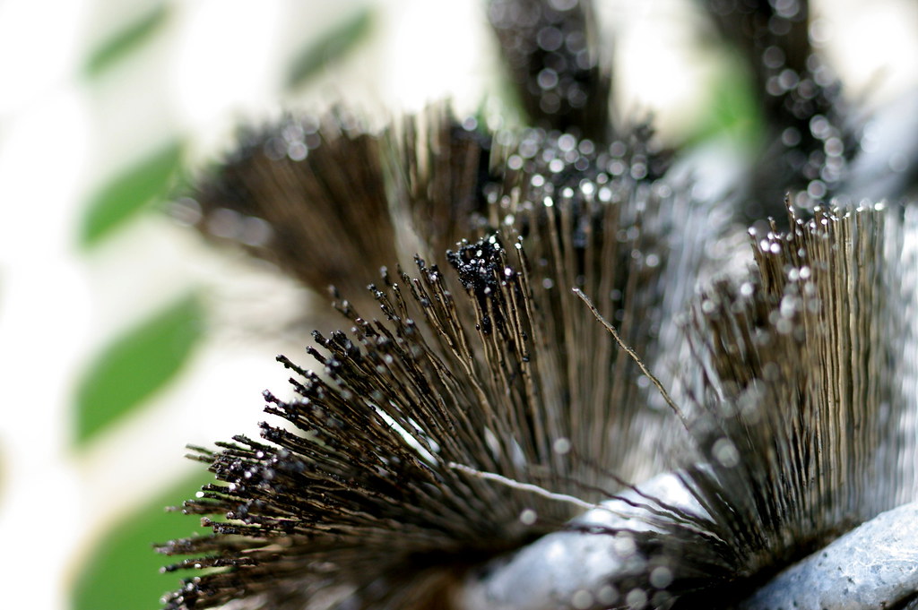 Close-up of grill brush bristles with charcoal residues.