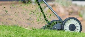 how-to-revive-a-lawn-autumn-5-recycle-grass
