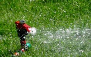 how-to-revive-a-lawn-autumn-7-water