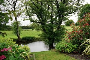garden-pond-maintenance-2-water-levels
