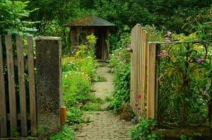 ultimate-guide-to-wildlife-friendly-garden-3-create-your-own-garden-wildlife-shed
