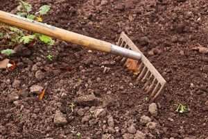 ways-to-prepare-your-garden-for-spring-1-tidy-up