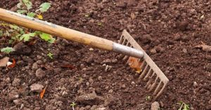 ways-to-prepare-your-garden-for-spring
