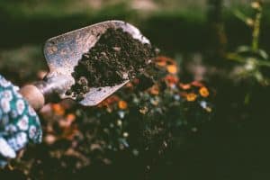 ways-to-prepare-your-garden-for-spring-5-soil