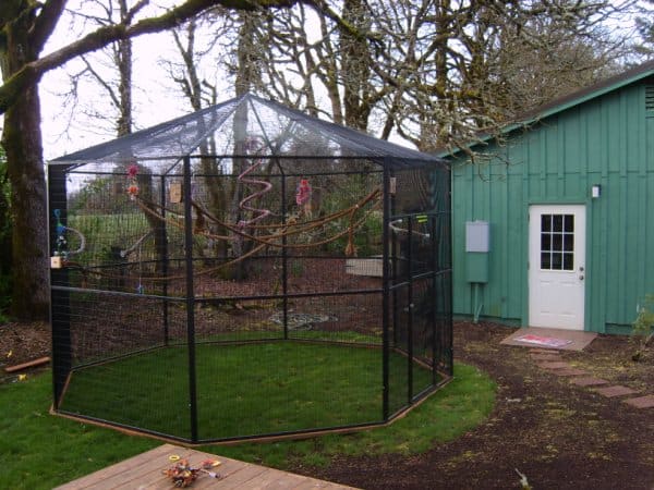 Outdoor aviary with sloped roofing