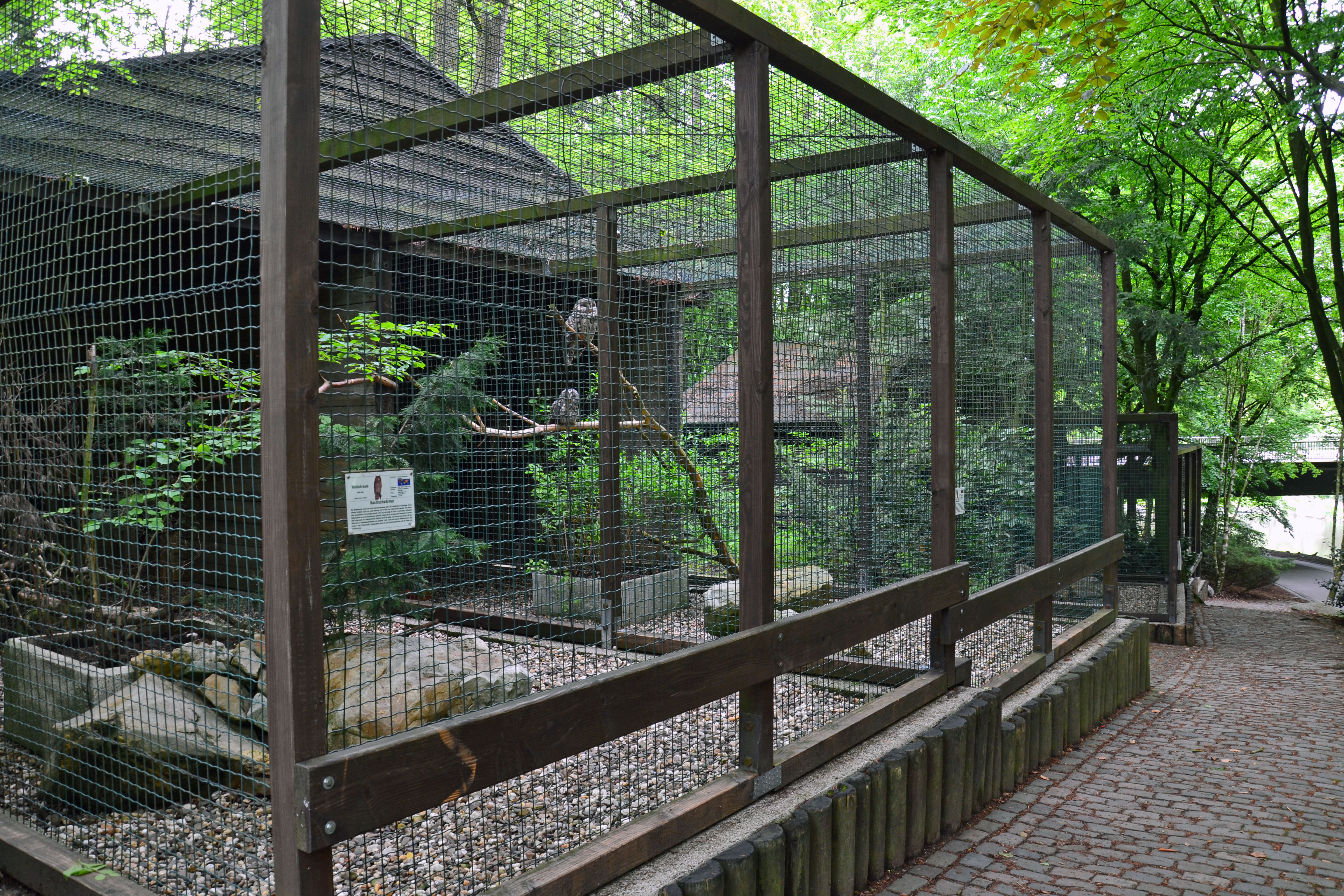 Wooden and wire fencing outdoor bird aviary