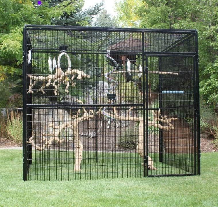 Outdoor Aviary Bird Cage Plans Free