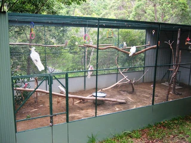 Aviary with soft foundation