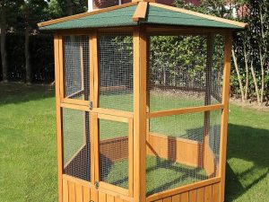 Things to Consider When Building an Outdoor Bird Aviary