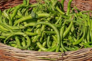 fast-growing-vegetables-5-beans-pixabay