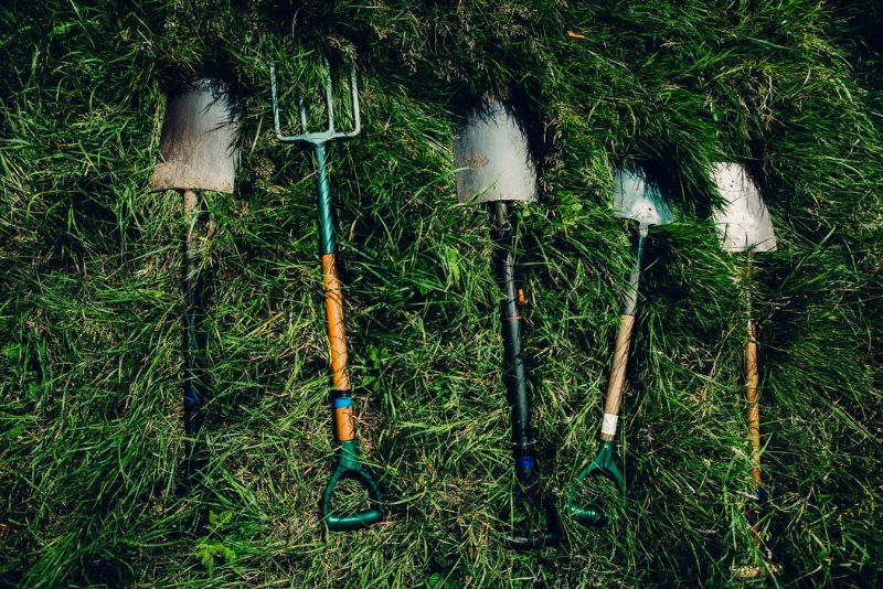 The tools and equipment you need for growing your moss garden.