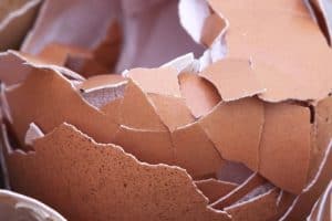 uses-of-eggshells-in-your-garden-4-organic-mulch-pixabay