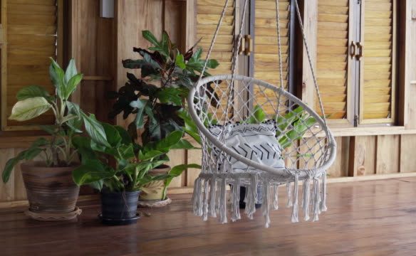 Cabin indoor plants along with a porch swing