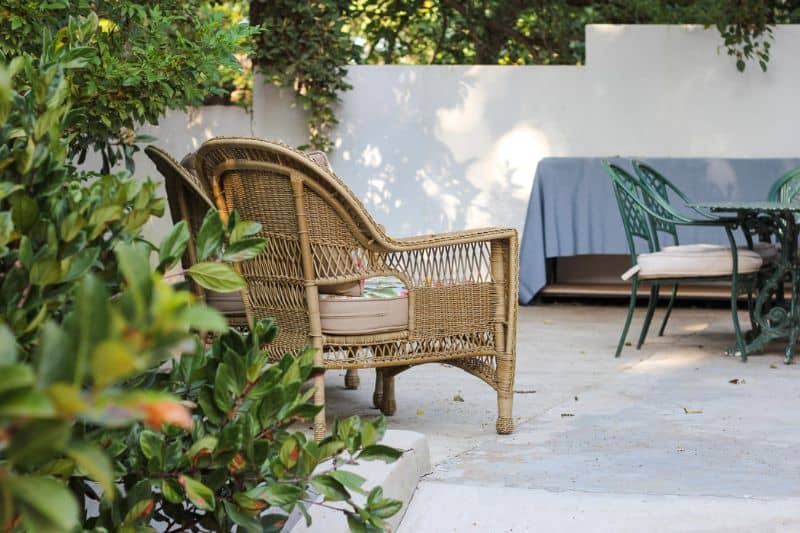 rattan chair on a white surrounded by green plants