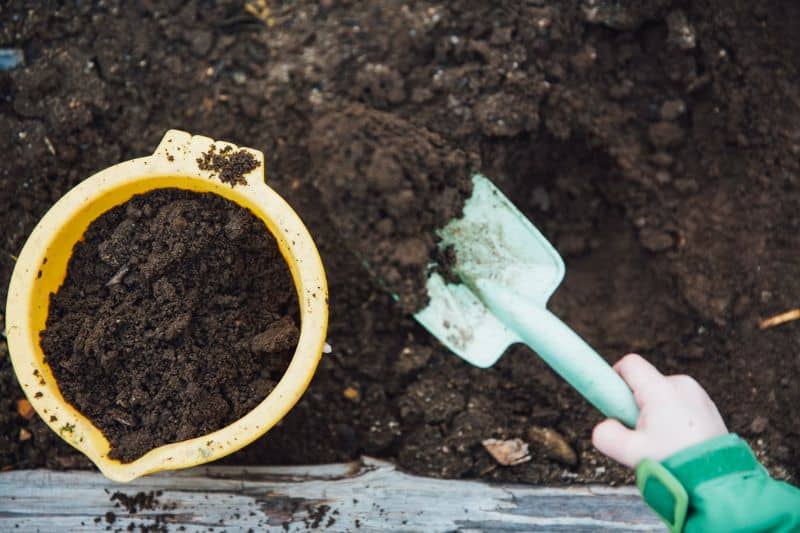child's hand trowelling compost into a bucket