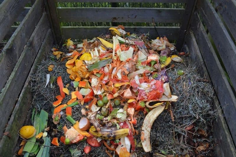 DIY compost bin with food scraps