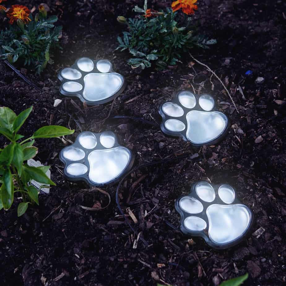 Solar paw print outdoor lights