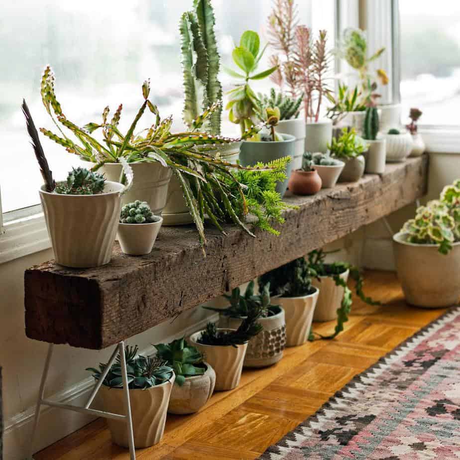 A wooden bench that doubles up a planter and extra seating