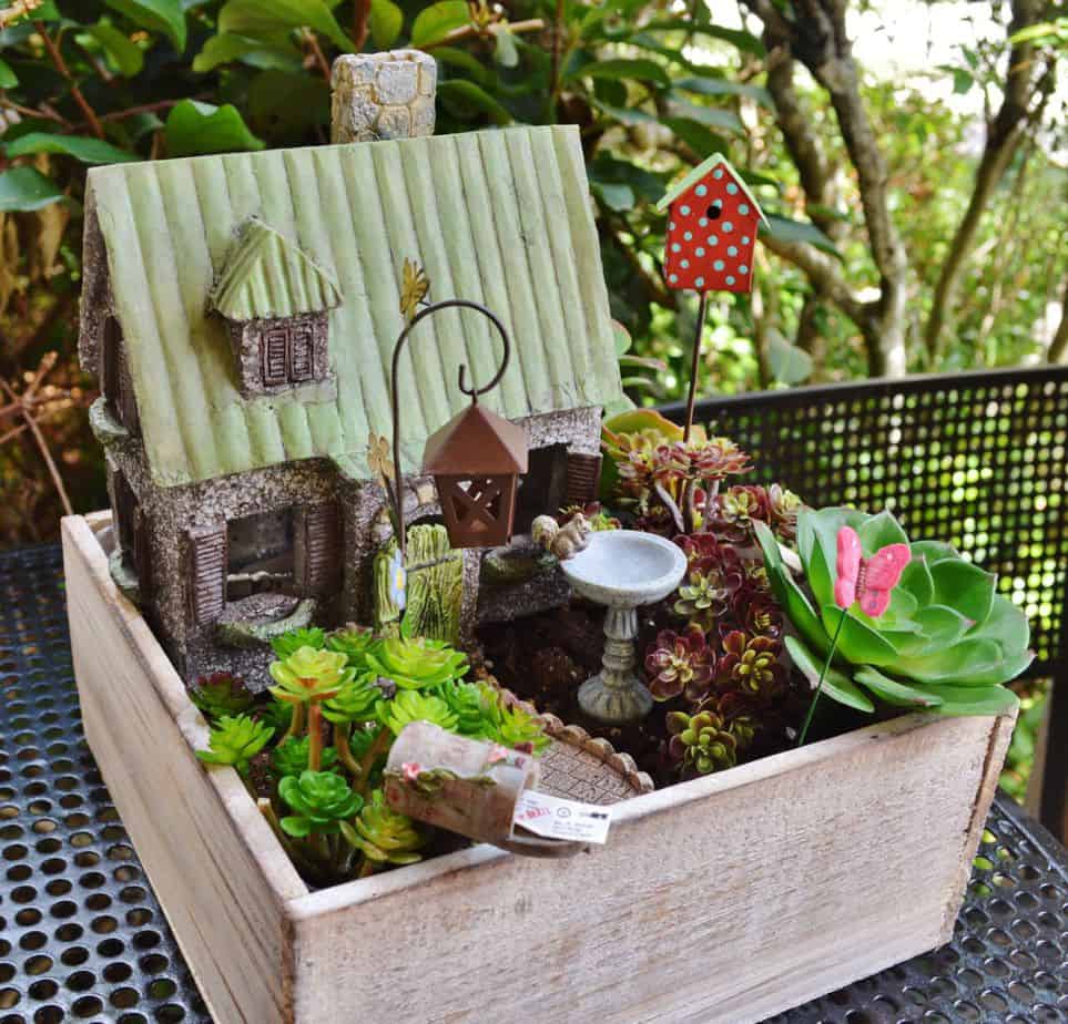 A mini garden fairy inside a wooden box