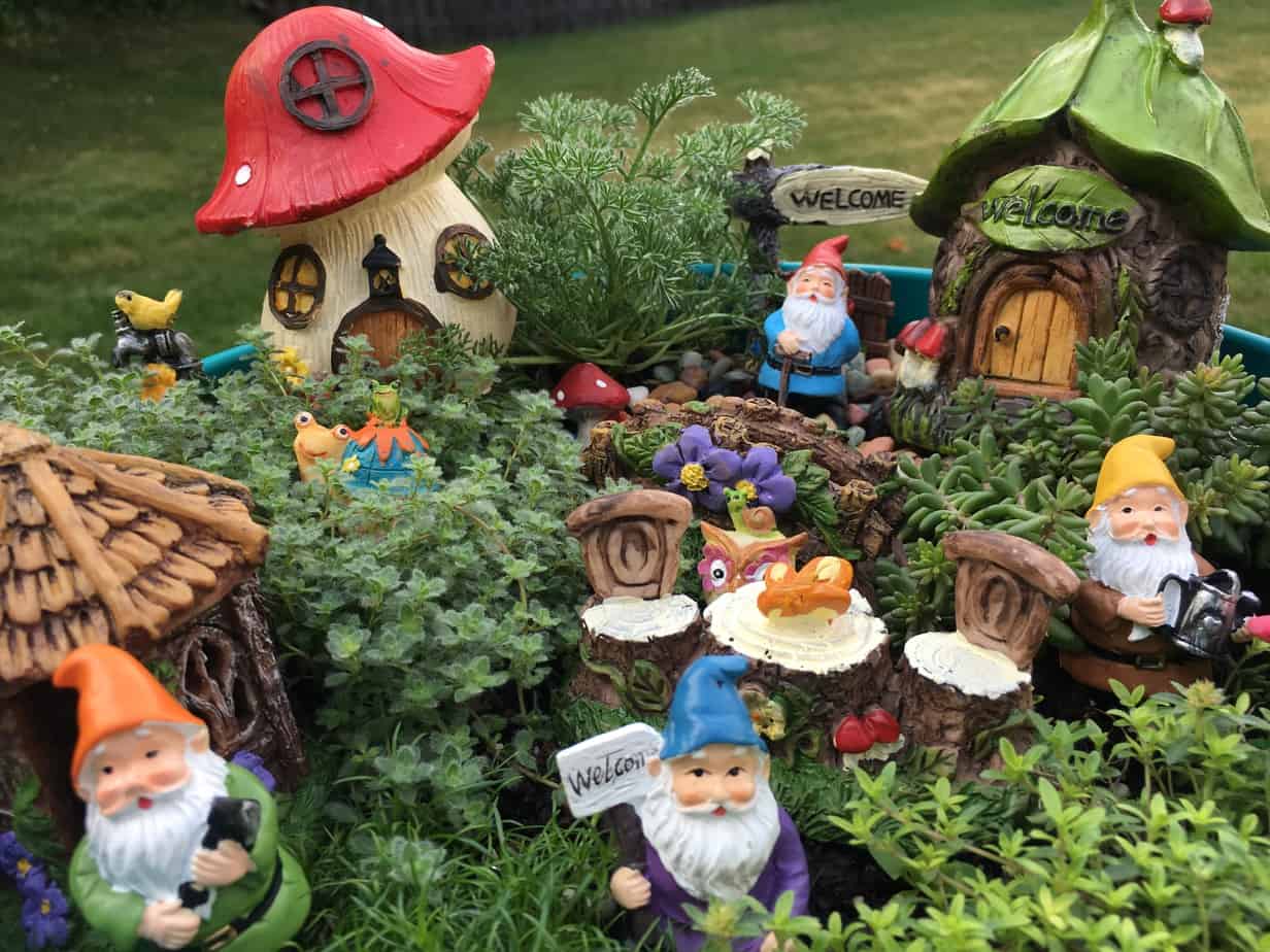 Little garden village for the gnomes