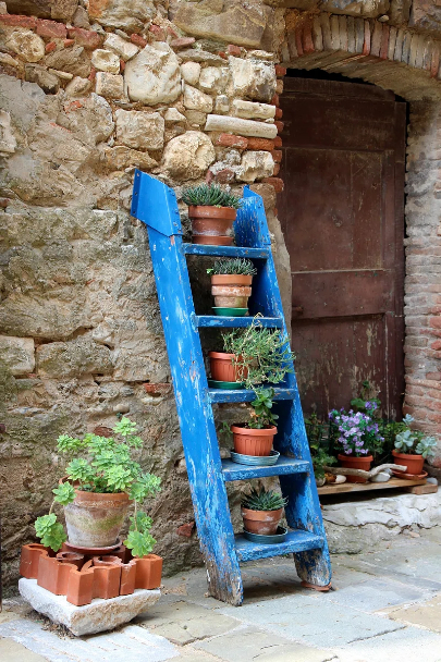 Old blue ladder used as a planter station for potted planters.