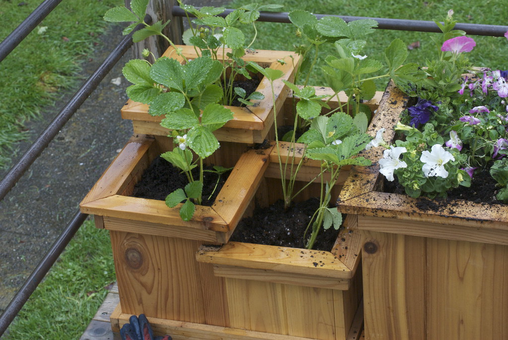 Cedar planter boxes.