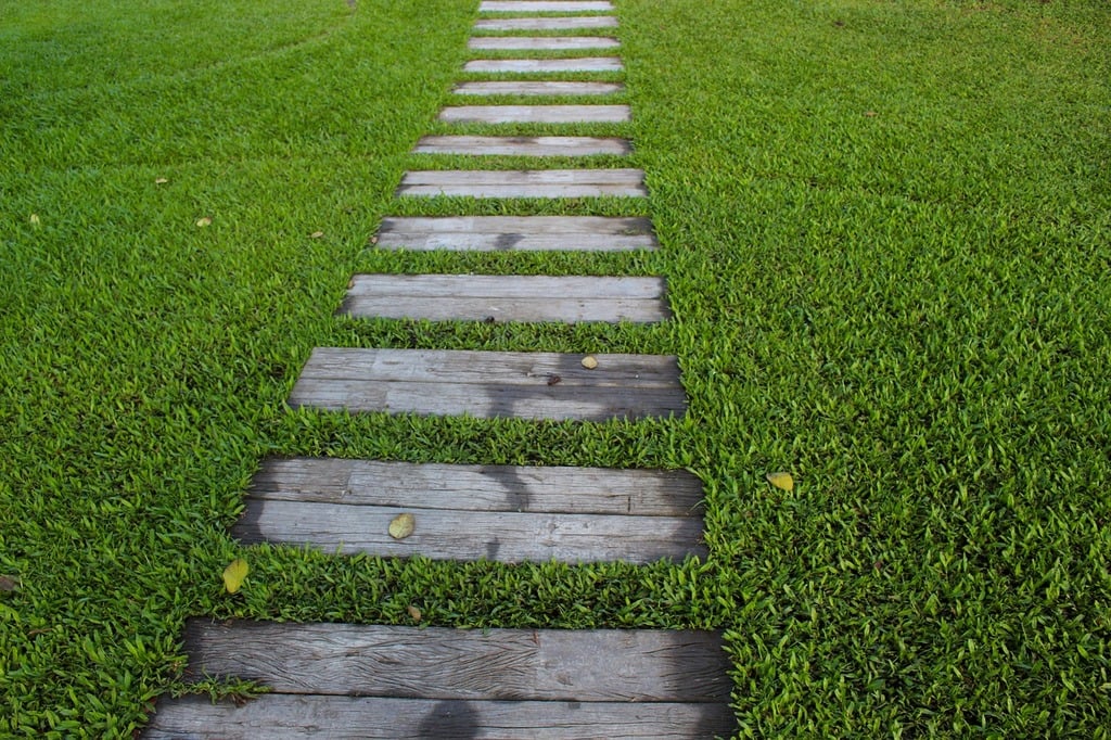 A path made out of wooden planks in the grass.