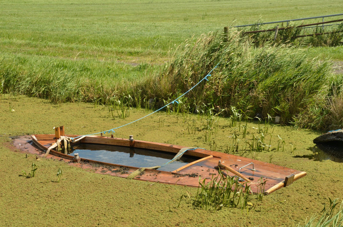 DIY pond built in a canoe
