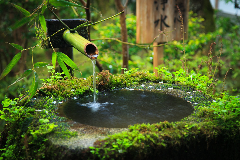 Bamboo garden water feature