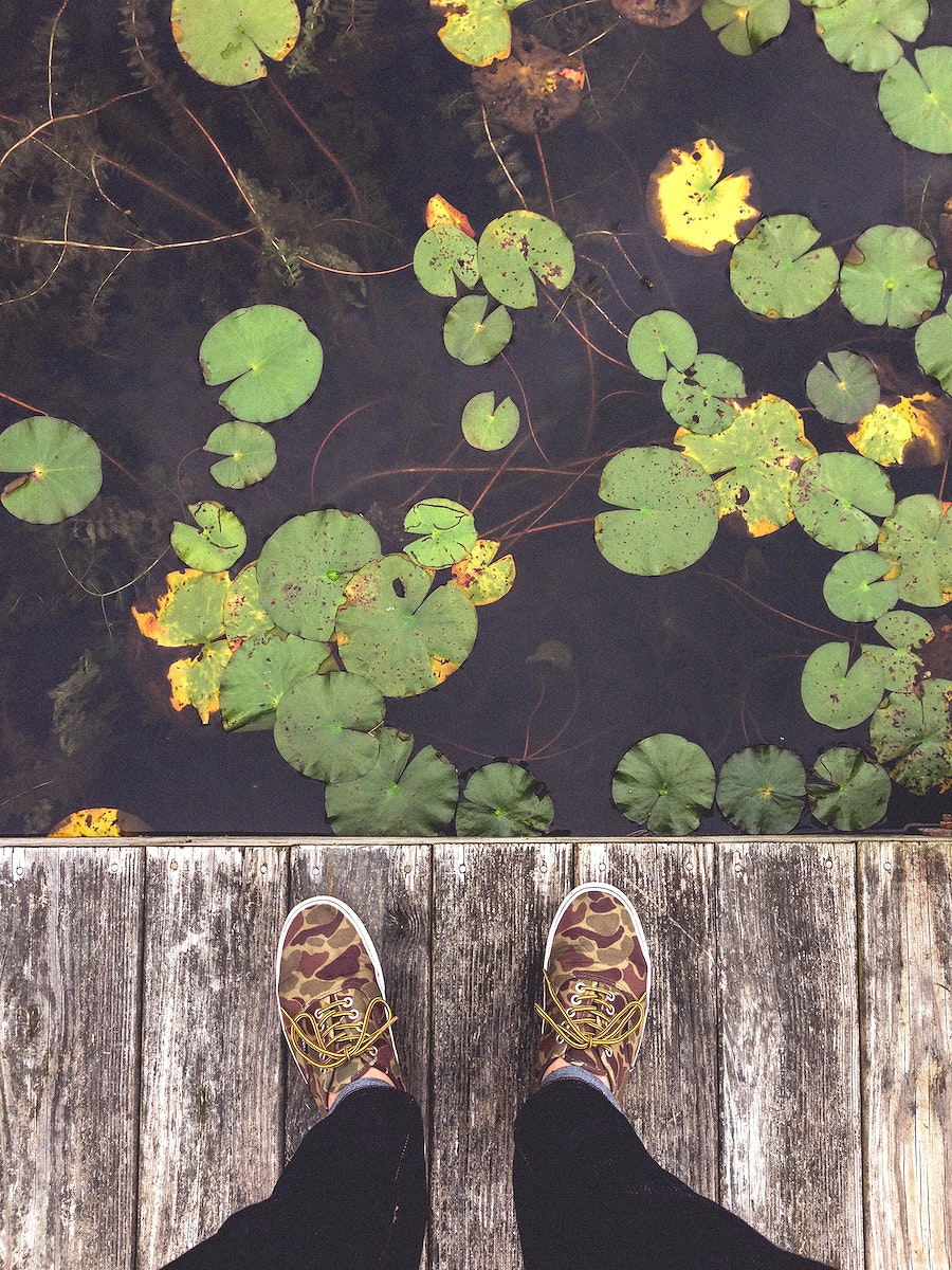 An overhead shot of a person's feet on a wooden deck next lily pads on a pond