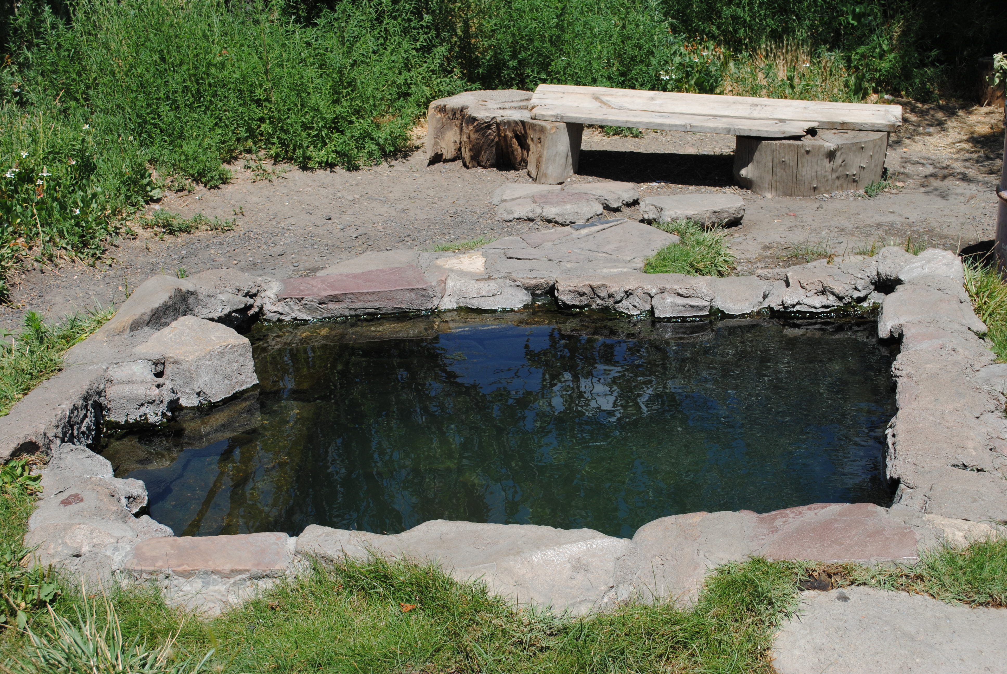 Square shaped in-ground garden pond