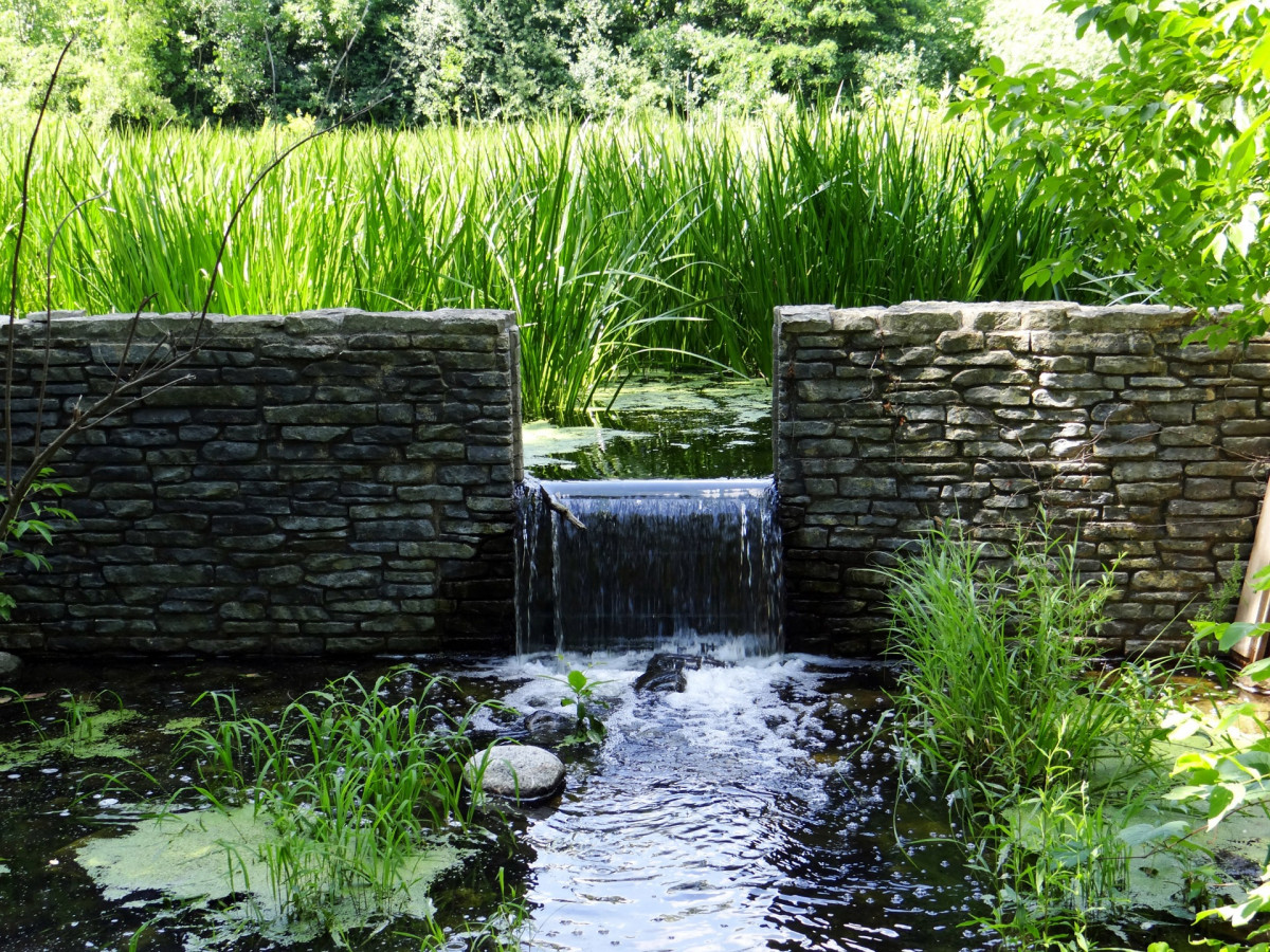 Waterfall style pond surrounded with tall grasses