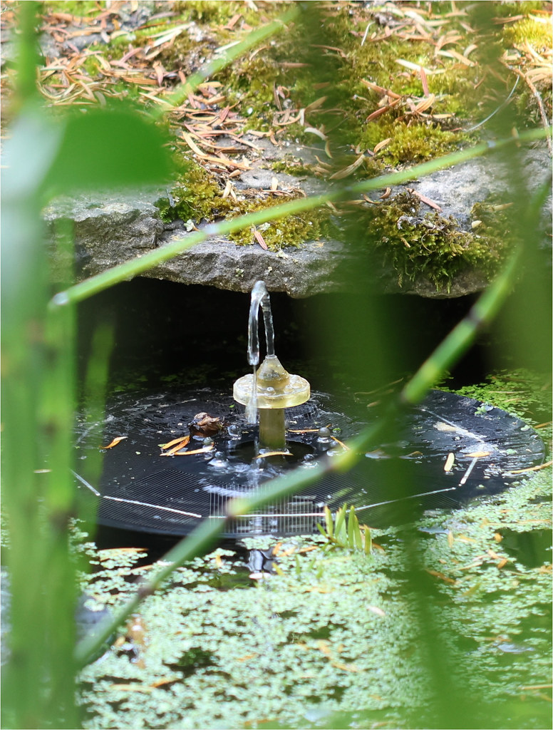 Mini corner pond with mini fountain