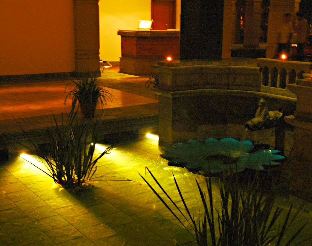 Modern garden pond with eclectic lighting