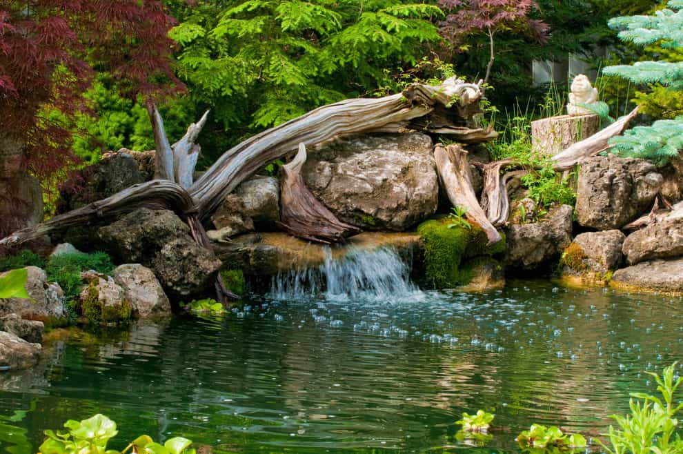 A small garden pond decorated with driftwood